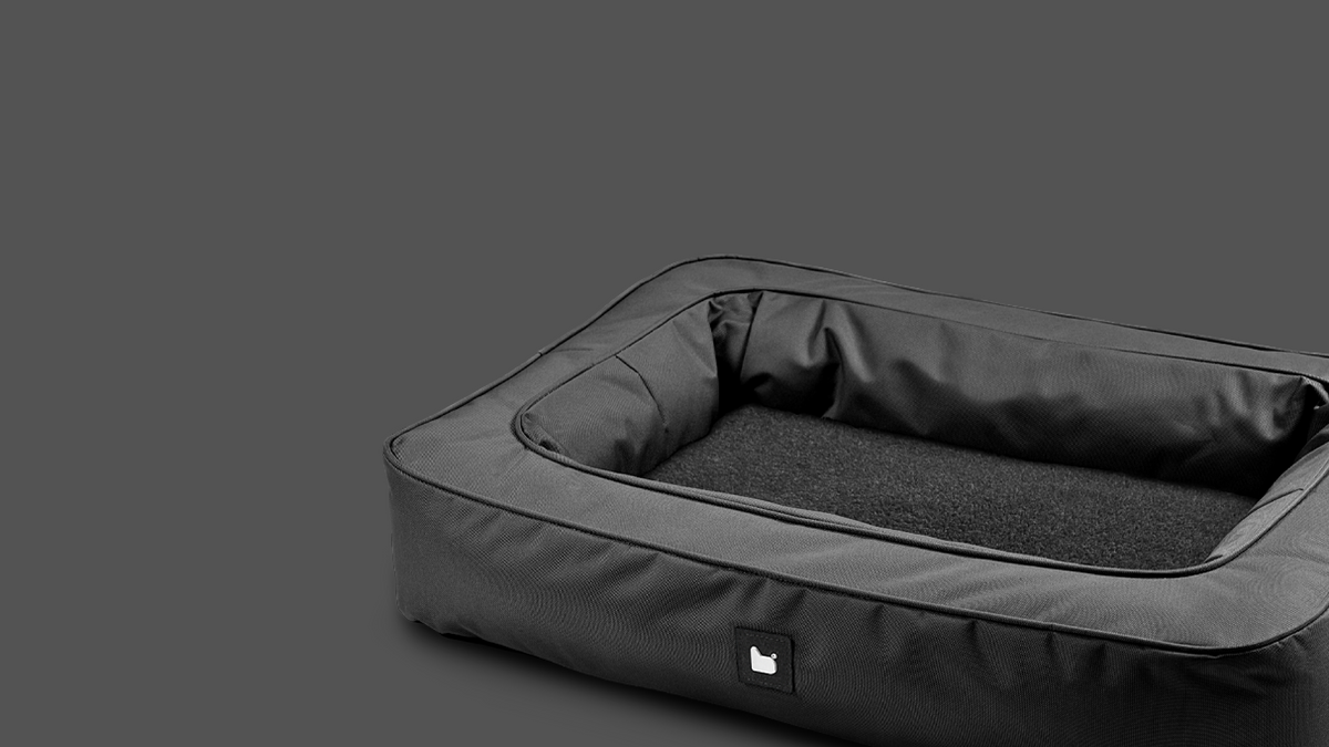 B-Dogbed